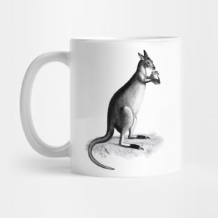 Kangaroo lowland king Mug